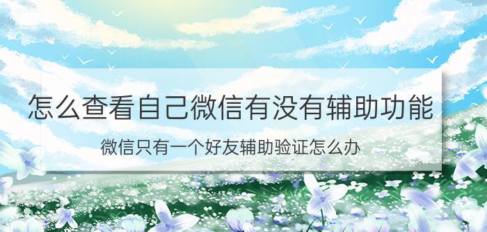 怎么查看自己微信有没有辅助功能 微信只有一个好友辅助验证怎么办？